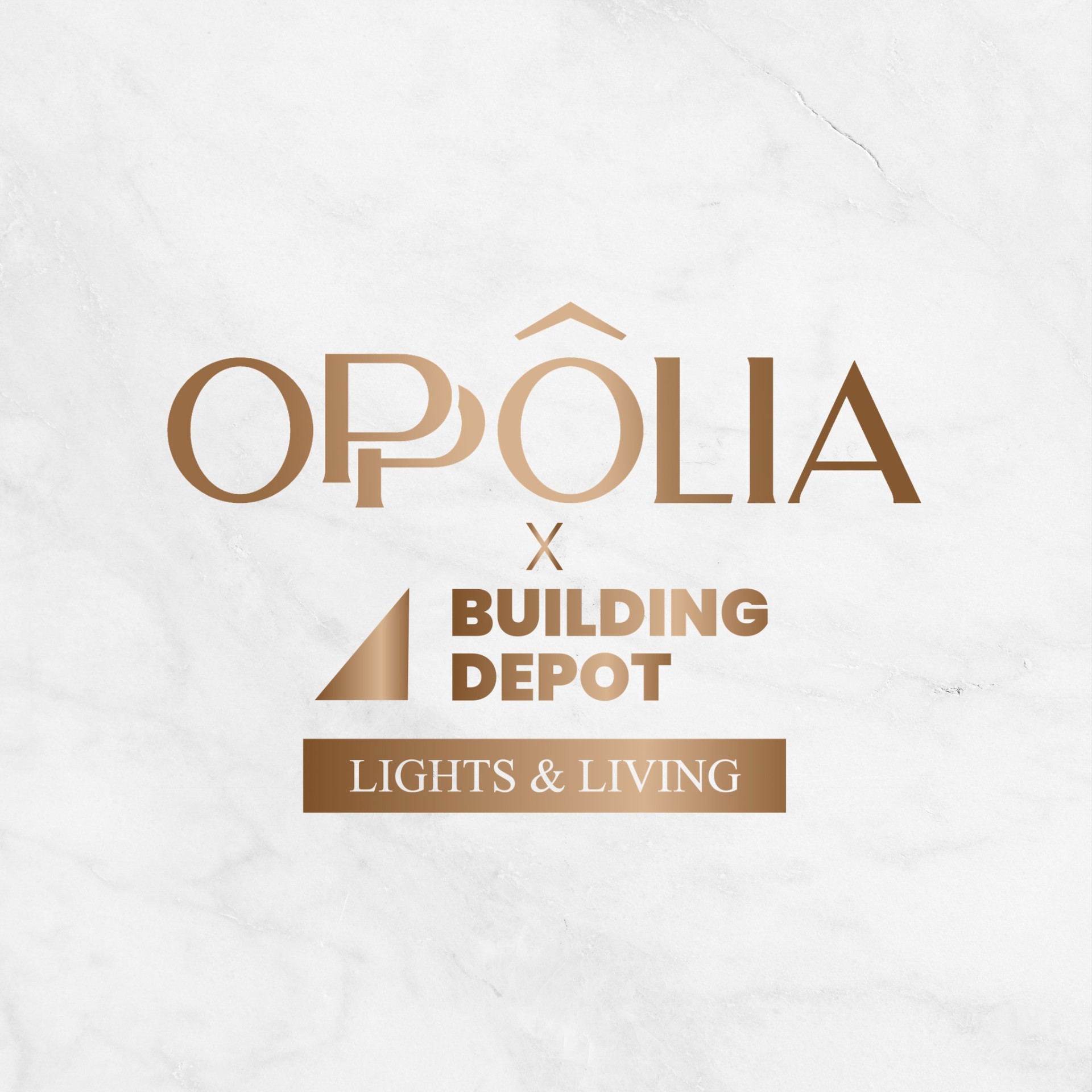 Oppôlia × Building Depot